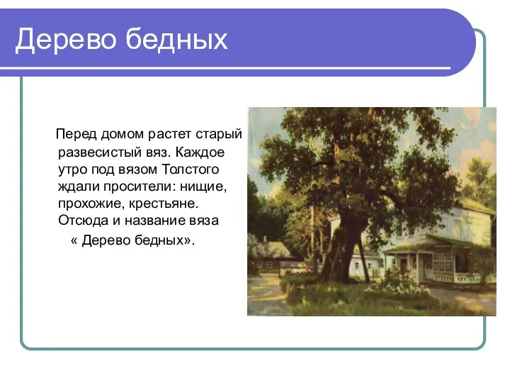 Дерево бедных Перед домом растет старый развесистый вяз. Каждое утро под