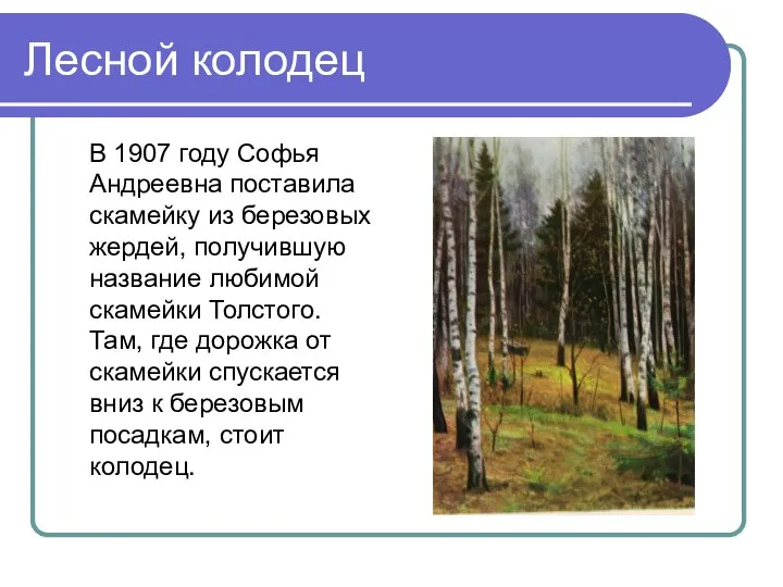 Лесной колодец В 1907 году Софья Андреевна поставила скамейку из березовых