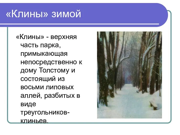 «Клины» зимой «Клины» - верхняя часть парка, примыкающая непосредственно к дому