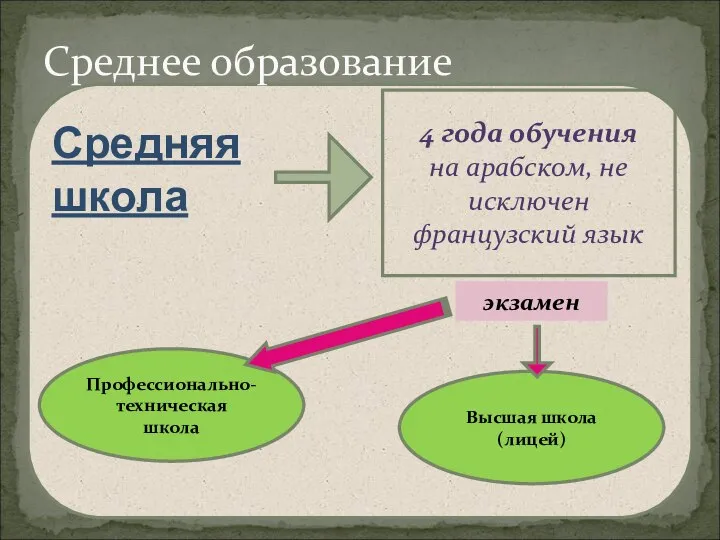 Среднее образование Средняя школа 4 года обучения на арабском, не исключен