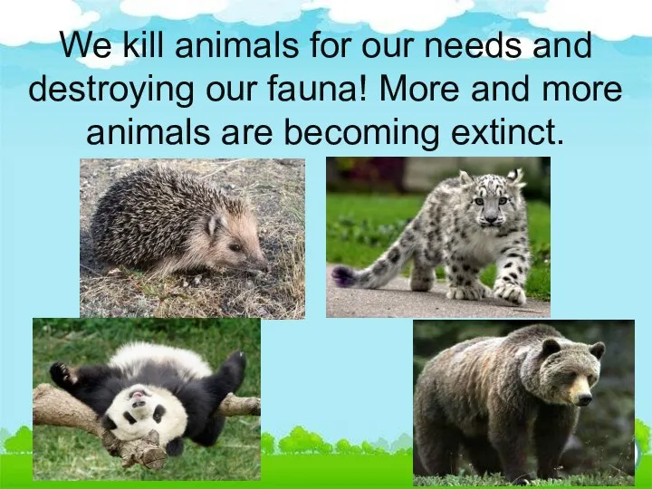 We kill animals for our needs and destroying our fauna! More