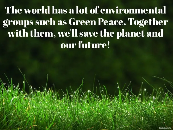 The world has a lot of environmental groups such as Green