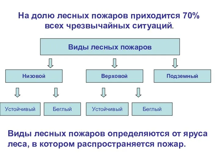 Виды лесных пожаров определяются от яруса леса, в котором распространяется пожар.