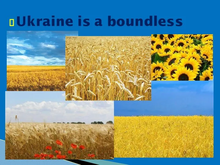 Ukraine is a boundless field