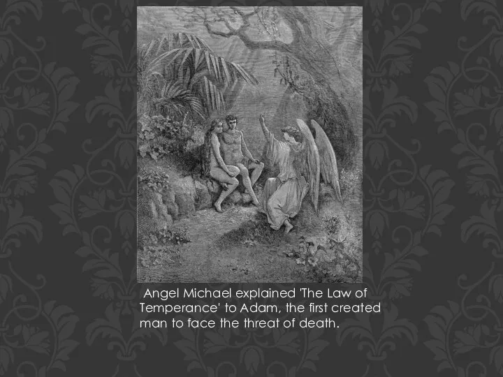 Angel Michael explained 'The Law of Temperance' to Adam, the first