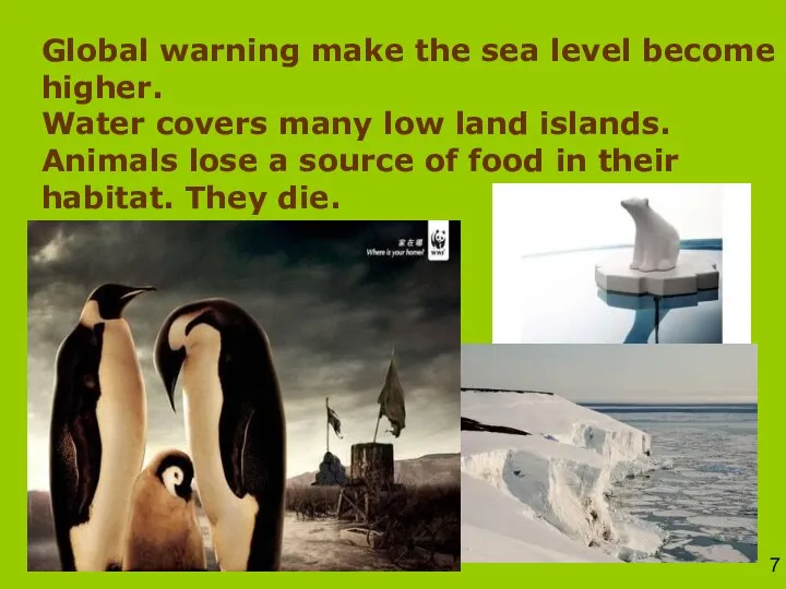 Global warning make the sea level become higher. Water covers many