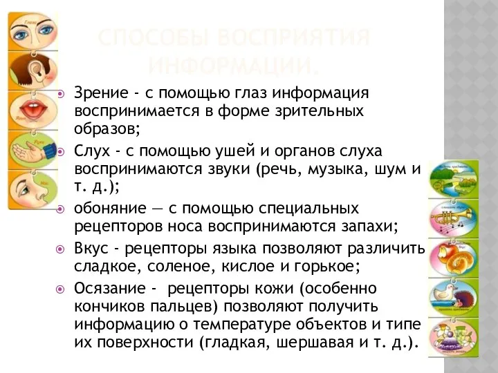 СПОСОБЫ ВОСПРИЯТИЯ ИНФОРМАЦИИ. Зрение - с помощью глаз информация воспринимается в