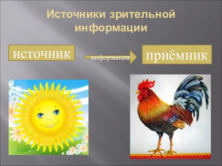 Источники зрительной информации источник приёмник информация