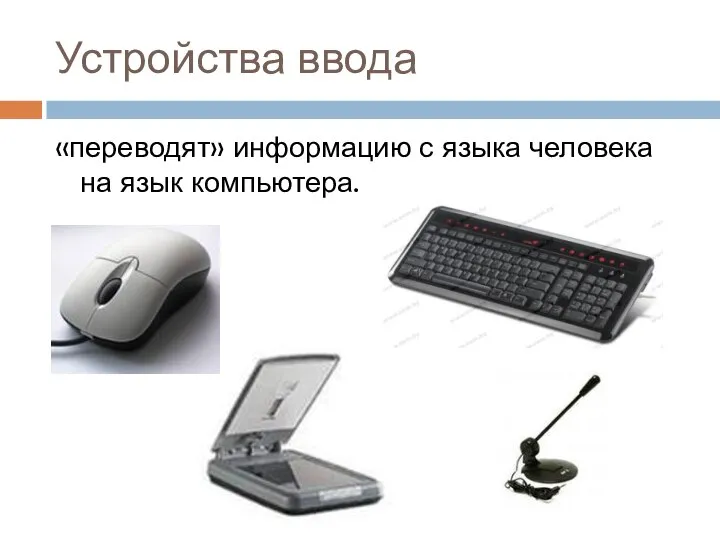 Устройства ввода «переводят» информацию с языка человека на язык компьютера.