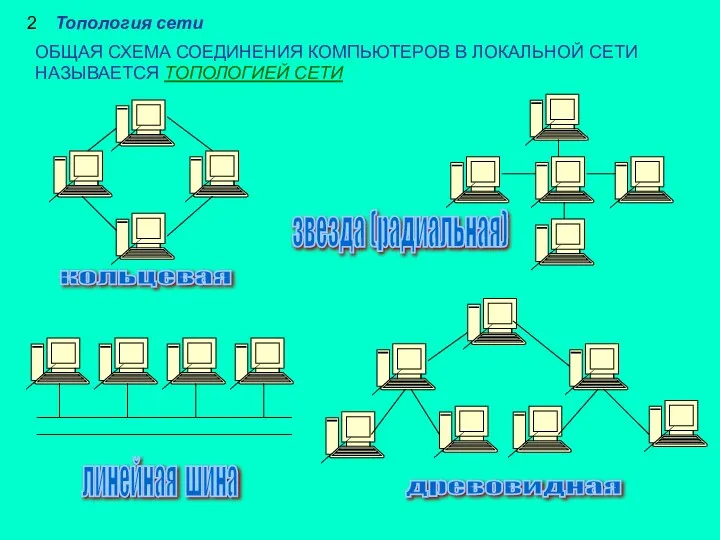 2 Топология сети ОБЩАЯ СХЕМА СОЕДИНЕНИЯ КОМПЬЮТЕРОВ В ЛОКАЛЬНОЙ СЕТИ НАЗЫВАЕТСЯ