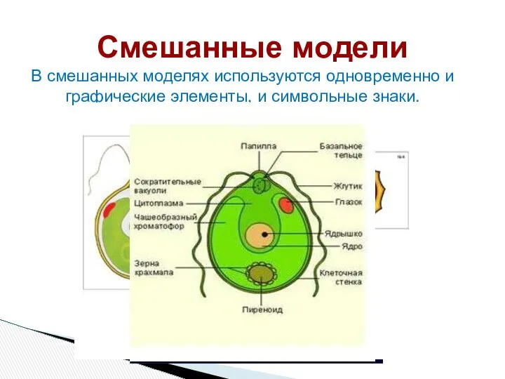 Смешанные модели В смешанных моделях используются одновременно и графические элементы, и символьные знаки.