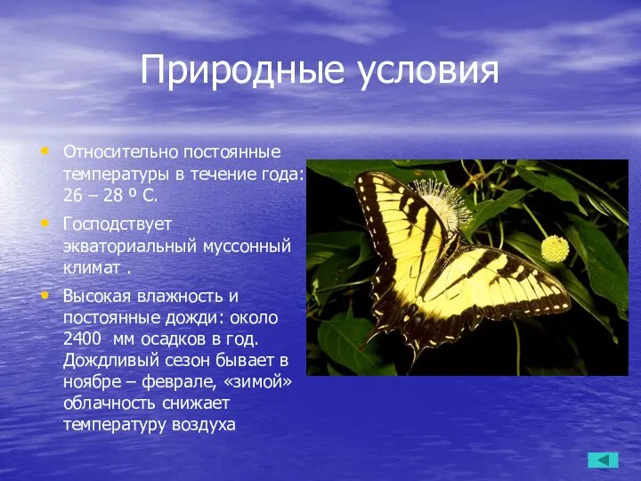 Природные условия Относительно постоянные температуры в течение года: 26 – 28