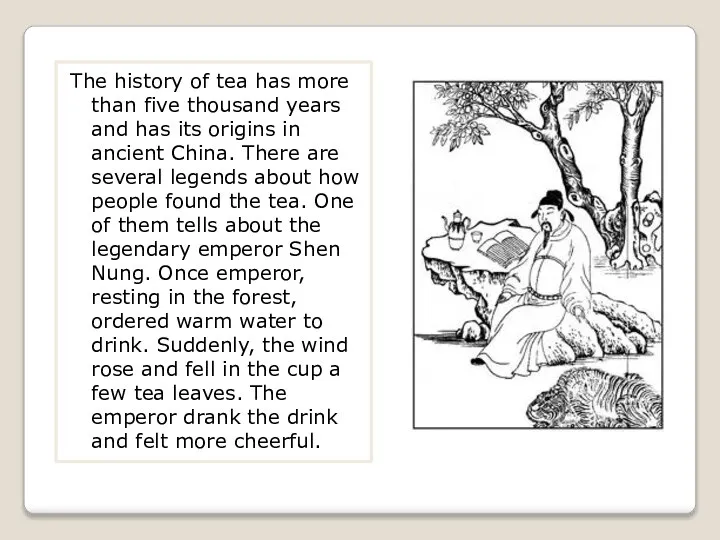 The history of tea has more than five thousand years and