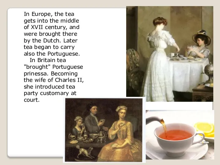 In Europe, the tea gets into the middle of XVII century,