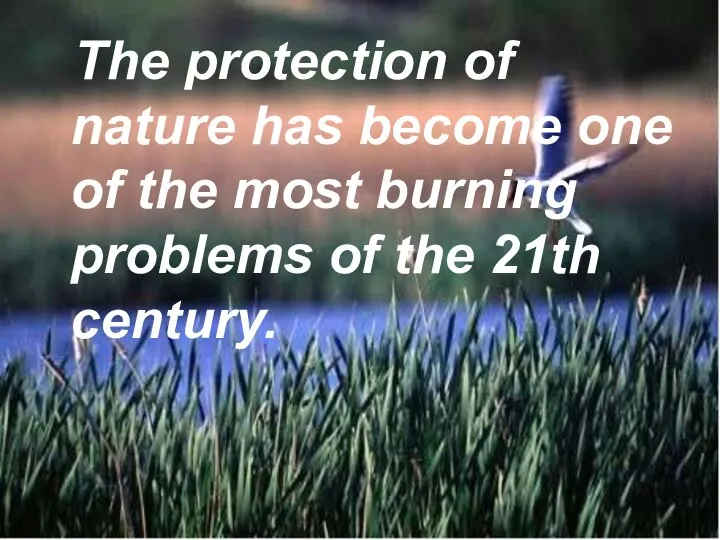 The protection of nature has become one of the most burning problems of the 21th century.