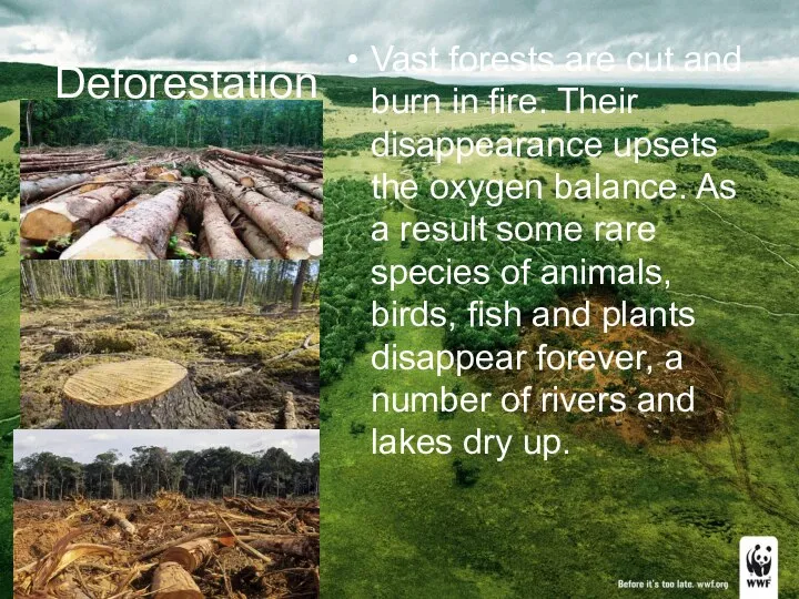 Deforestation Vast forests are cut and burn in fire. Their disappearance