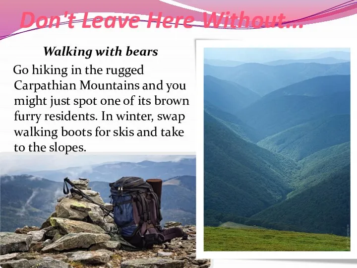 Don't Leave Here Without... Walking with bears Go hiking in the