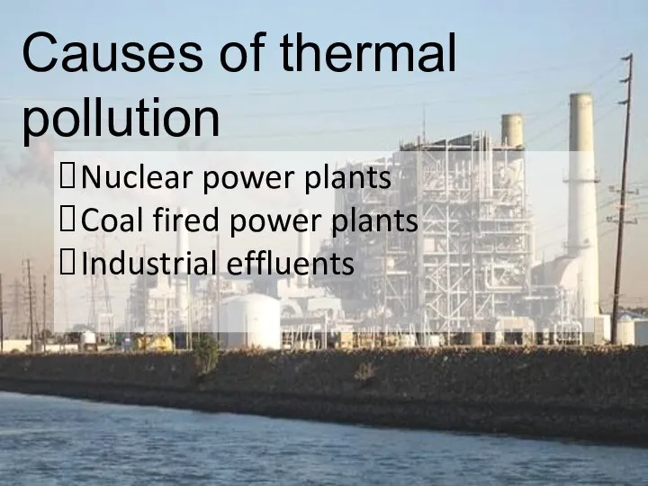 Causes of thermal pollution Nuclear power plants Coal fired power plants Industrial effluents