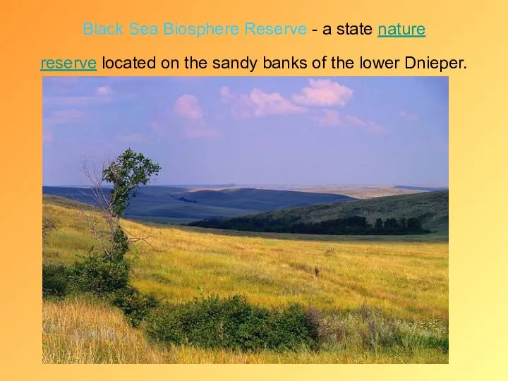 Black Sea Biosphere Reserve - a state nature reserve located on