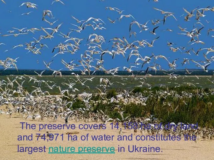 The preserve covers 14,158 ha of dry land and 74,971 ha