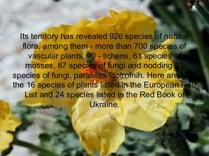 Its territory has revealed 926 species of natural flora, among them
