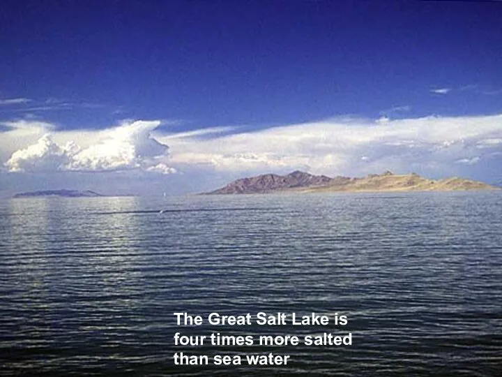 The Great Salt Lake is four times more salted than sea water