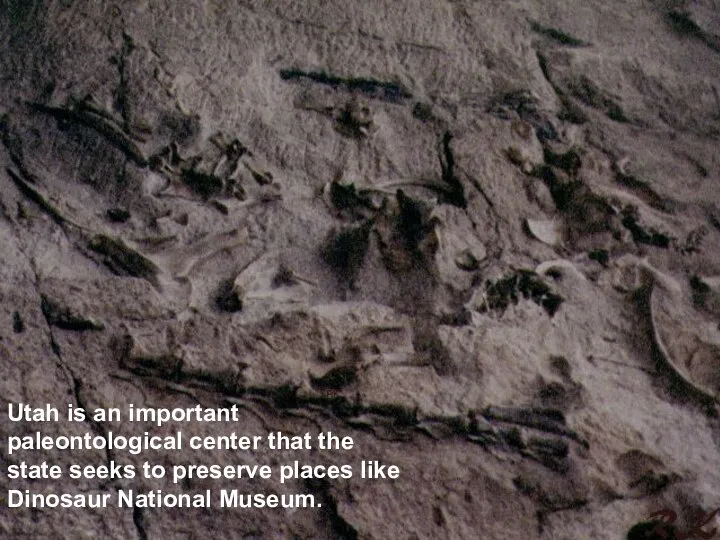 Utah is an important paleontological center that the state seeks to
