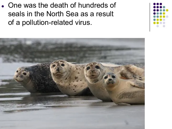 One was the death of hundreds of seals in the North