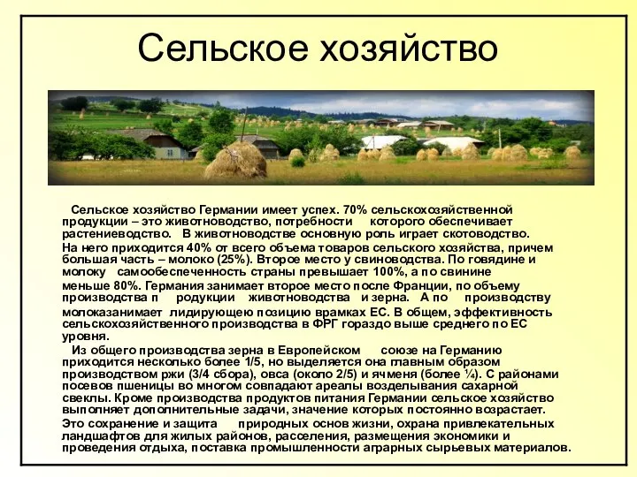 Сельское хозяйство Сельское хозяйство Германии имеет успех. 70% сельскохозяйственной продукции –