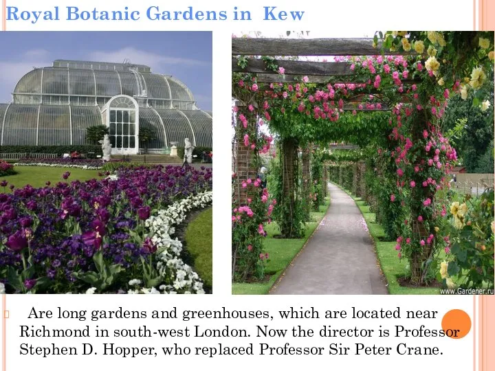 Royal Botanic Gardens in Kew Are long gardens and greenhouses, which