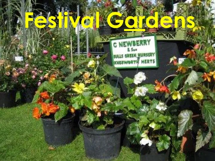 Festival Gardens