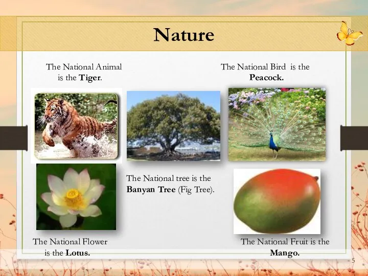 Nature The National Animal The National Bird is the is the