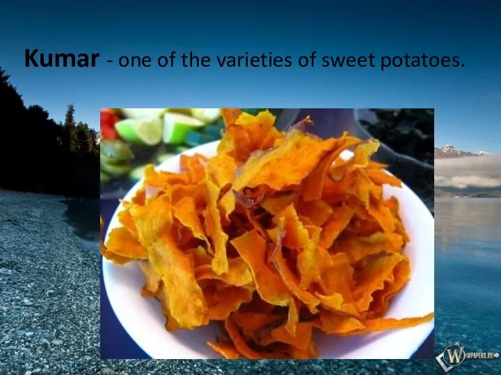Kumar - one of the varieties of sweet potatoes.