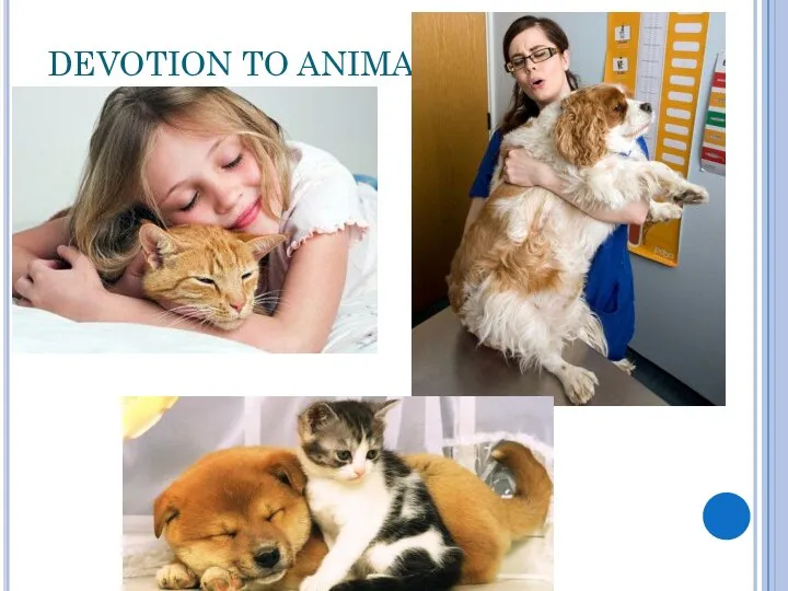 DEVOTION TO ANIMALS