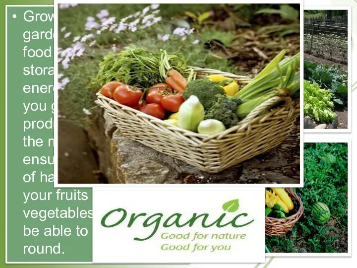 Grow an organic garden. Commercial food transportation and storage is energy-intensive.