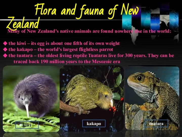 Flora and fauna of New Zealand Many of New Zealand’s native