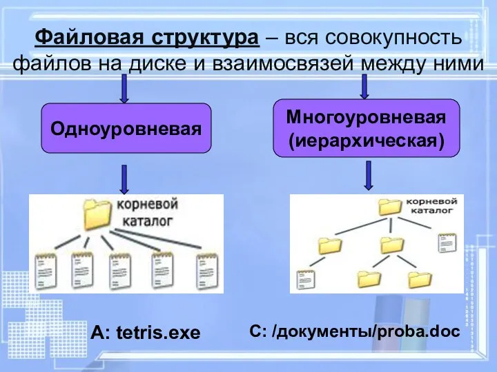 Файловая структура – вся совокупность файлов на диске и взаимосвязей между