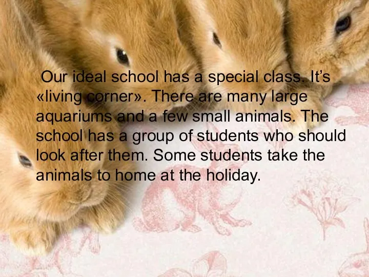 Our ideal school has a special class. It’s «living corner». There