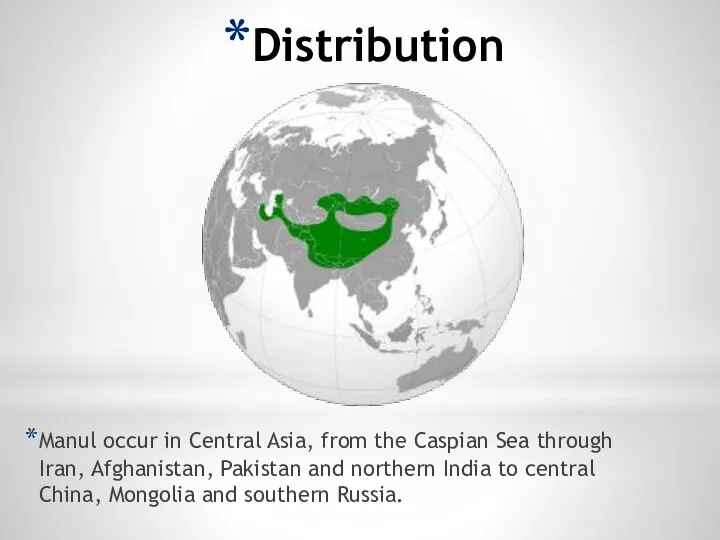 Distribution Manul occur in Central Asia, from the Caspian Sea through