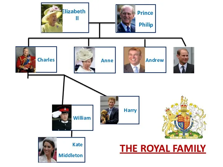 Harry William Anne Charles Andrew Elizabeth II Prince Philip Kate Middleton THE ROYAL FAMILY
