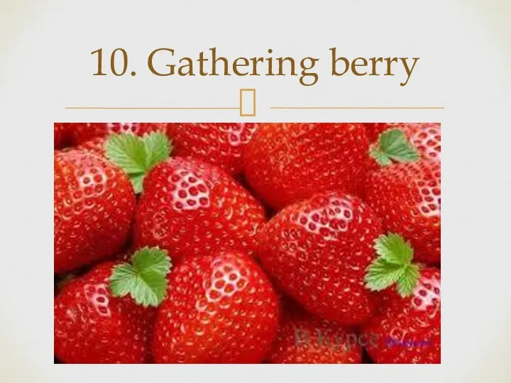 10. Gathering berry