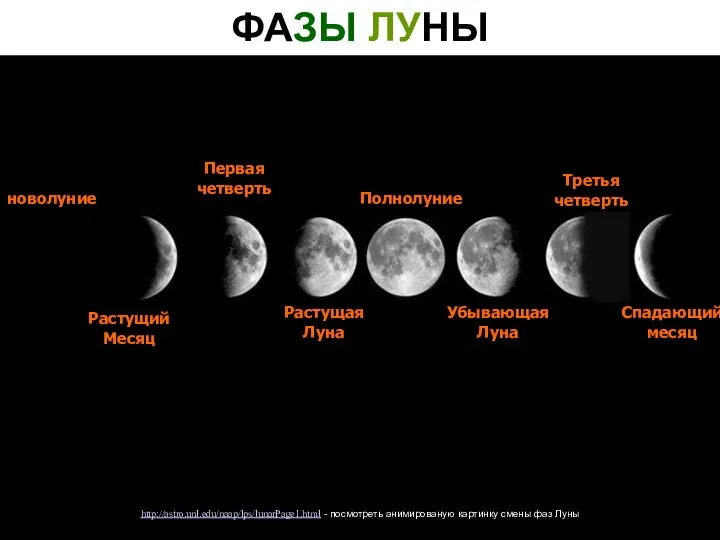 ФАЗЫ ЛУНЫ новолуние Первая четверть Полнолуние Третья четверть Спадающий месяц Растущая