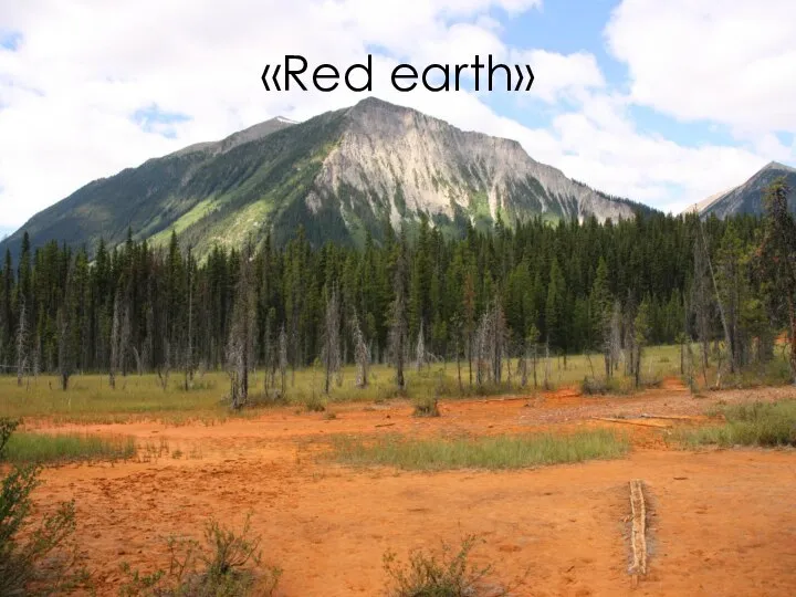 «Red earth»