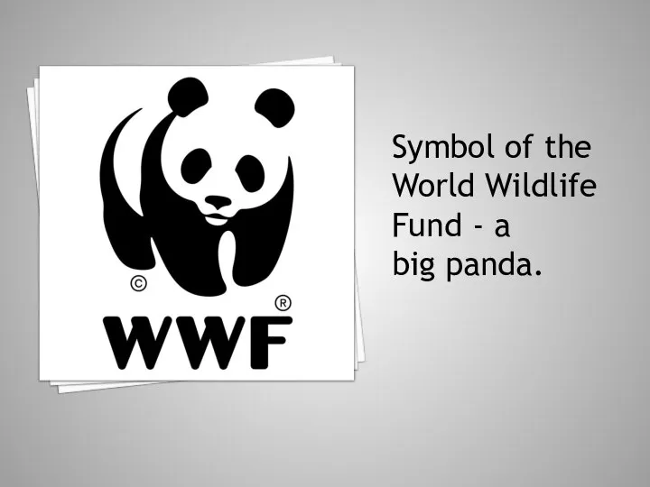 Symbol of the World Wildlife Fund - a big panda.