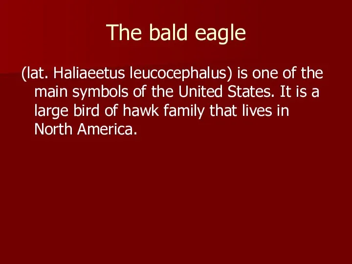 The bald eagle (lat. Haliaeetus leucocephalus) is one of the main