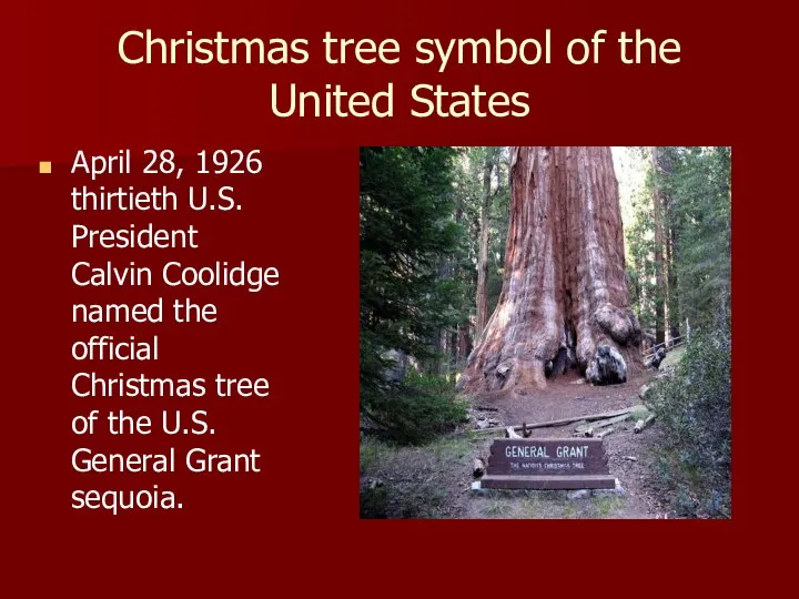 Christmas tree symbol of the United States April 28, 1926 thirtieth