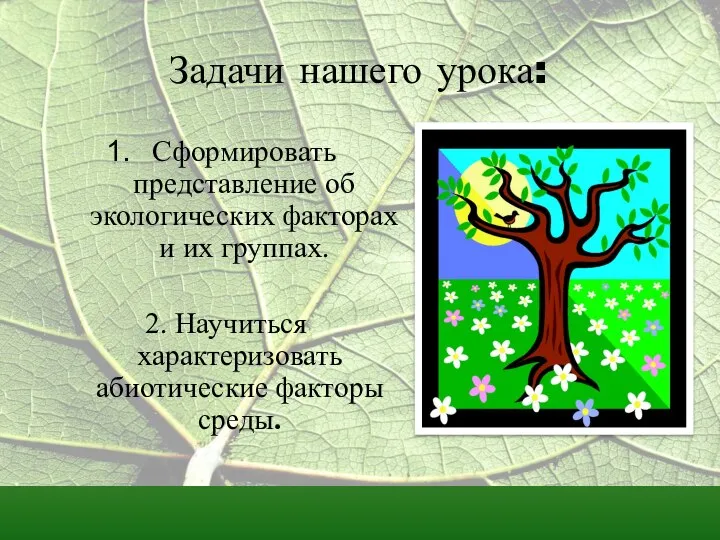 Задачи нашего урока: Сформировать представление об экологических факторах и их группах.
