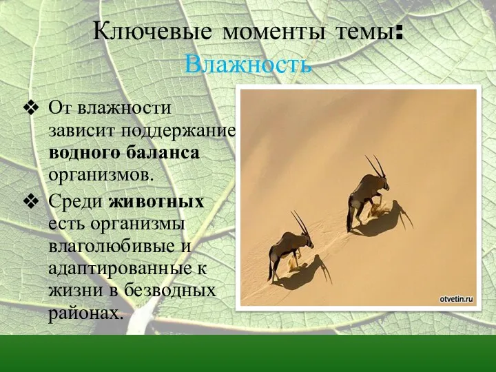 Ключевые моменты темы: Влажность От влажности зависит поддержание водного баланса организмов.