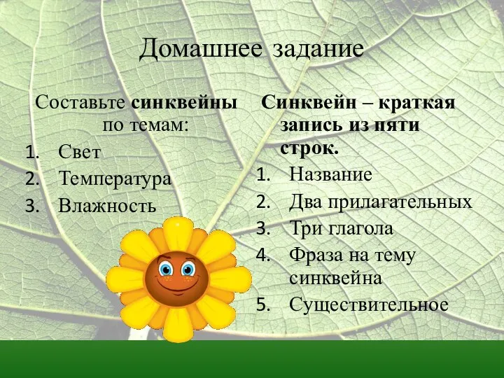 Домашнее задание Составьте синквейны по темам: Свет Температура Влажность Синквейн –