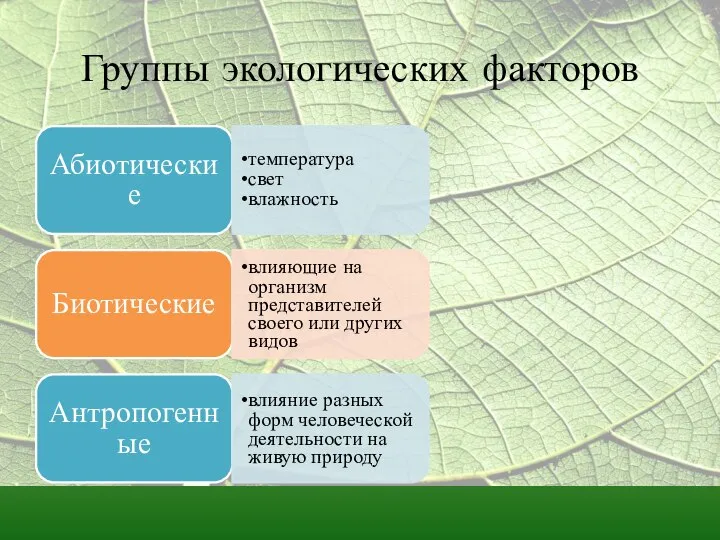 Группы экологических факторов Абиотические температура свет влажность Биотические влияющие на организм